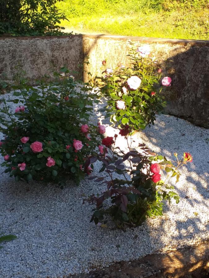 Maison Belvoir Le Fraysse 外观 照片